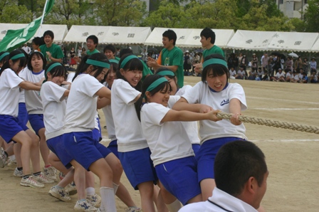 高校綱引き.JPG