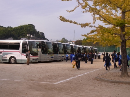 バス整列.JPG