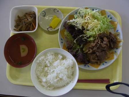 日替定食.JPG