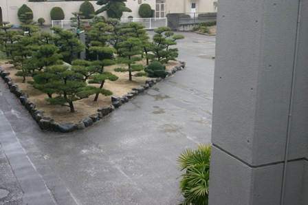 雨２.JPG