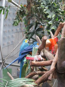 場所を移してNatural Science of Academyを訪れました。