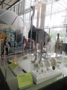 短時間ではありましたが、日本では見ることができない物を多く見ることができ、生徒たちも満足そうでした。